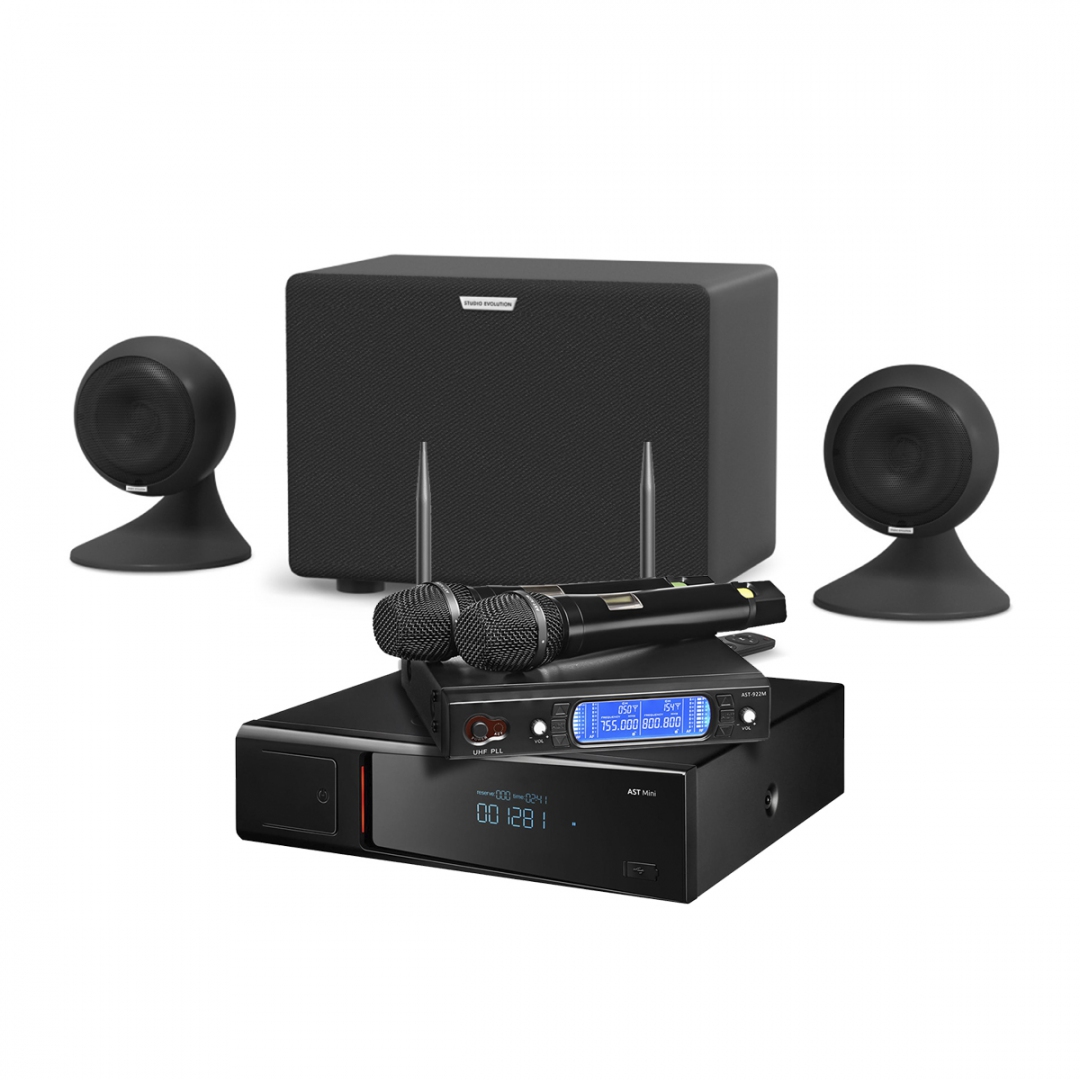караоке-комплект AST Mini Sound Sphere в Курганской области