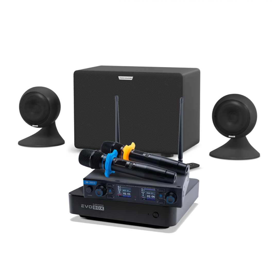 караоке-комплект EVOBOX + EvoSound Sphere 2.1 в Курганской области