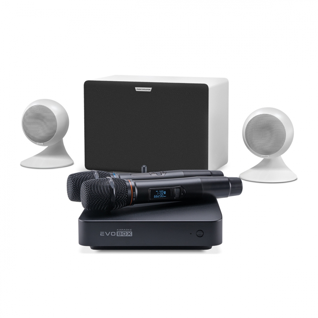 караоке-комплект EVOBOX Classic + EvoSound Sphere 2.1 в Курганской области