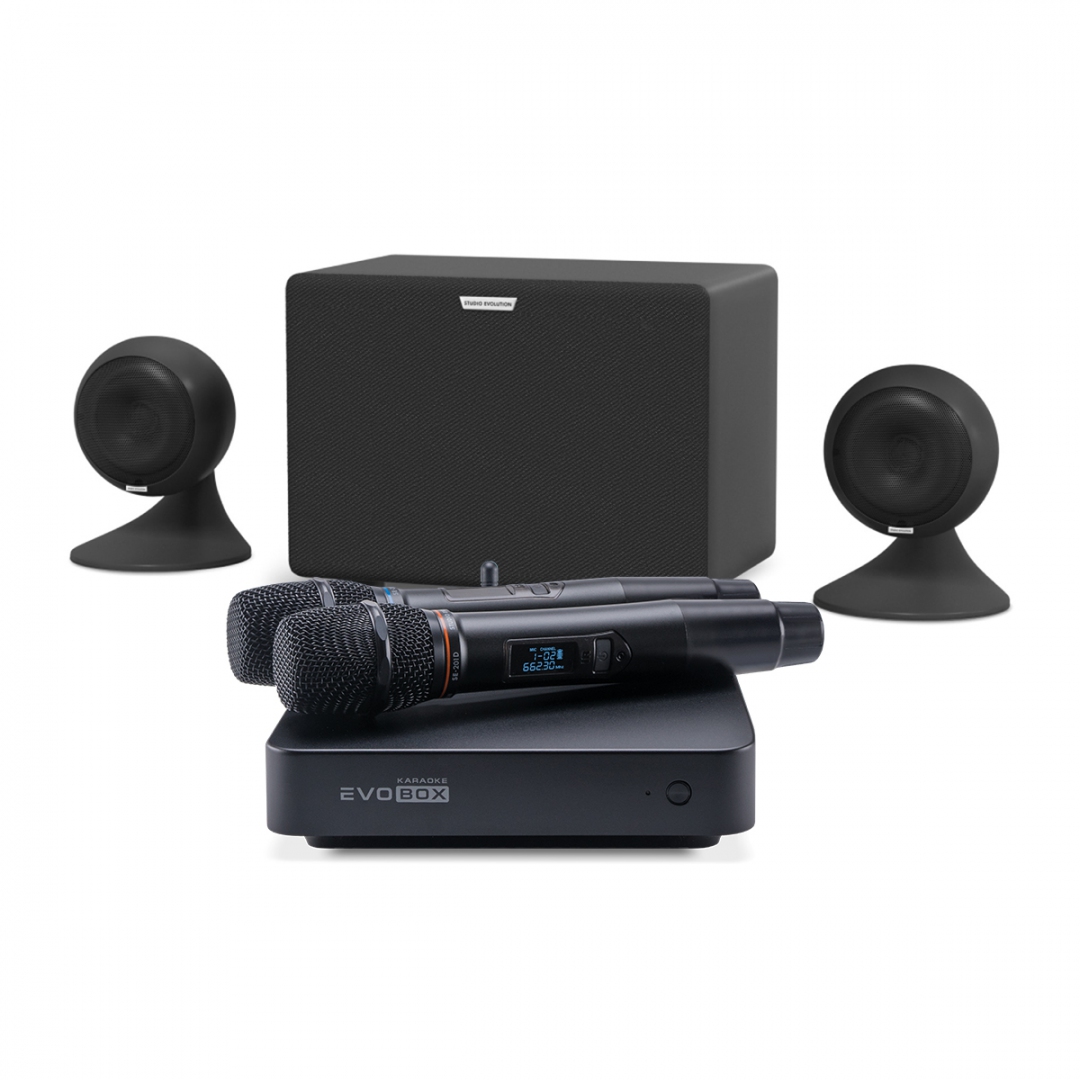 караоке-комплект EVOBOX Plus + EvoSound Sphere 2.1 в Курганской области