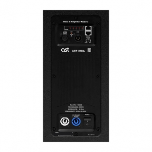 Активная акустическая система AST-310A в Курганской области