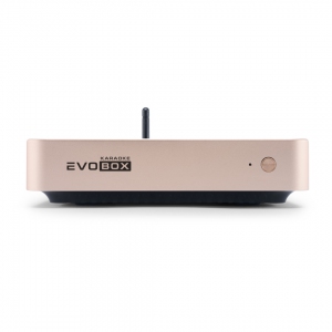 EVOBOX Plus караоке-система для дома в Курганской области
