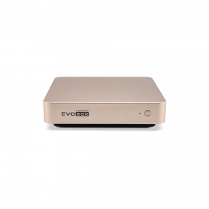 EVOBOX с микрофонами в Курганской области