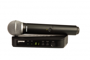 SHURE BLX24E/PG58 M17 вокальная радиосистема в Курганской области